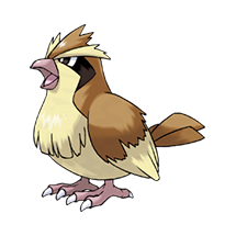 imagem Pidgey